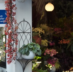 Flower Shop