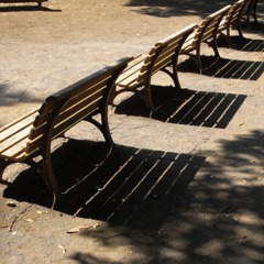 the bench