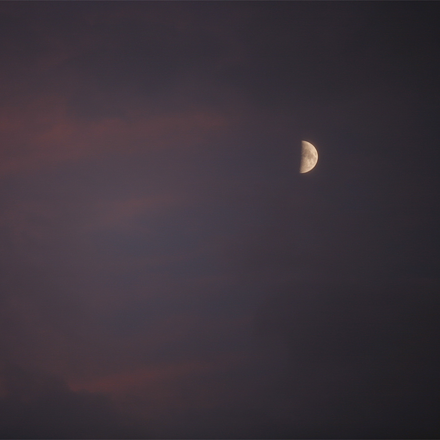 夕月