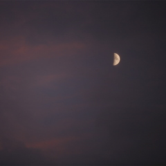 夕月