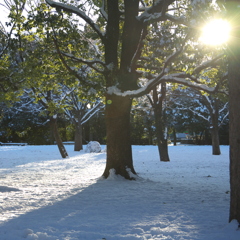朝