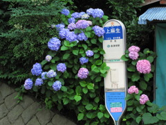バス停