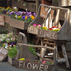 Flower box