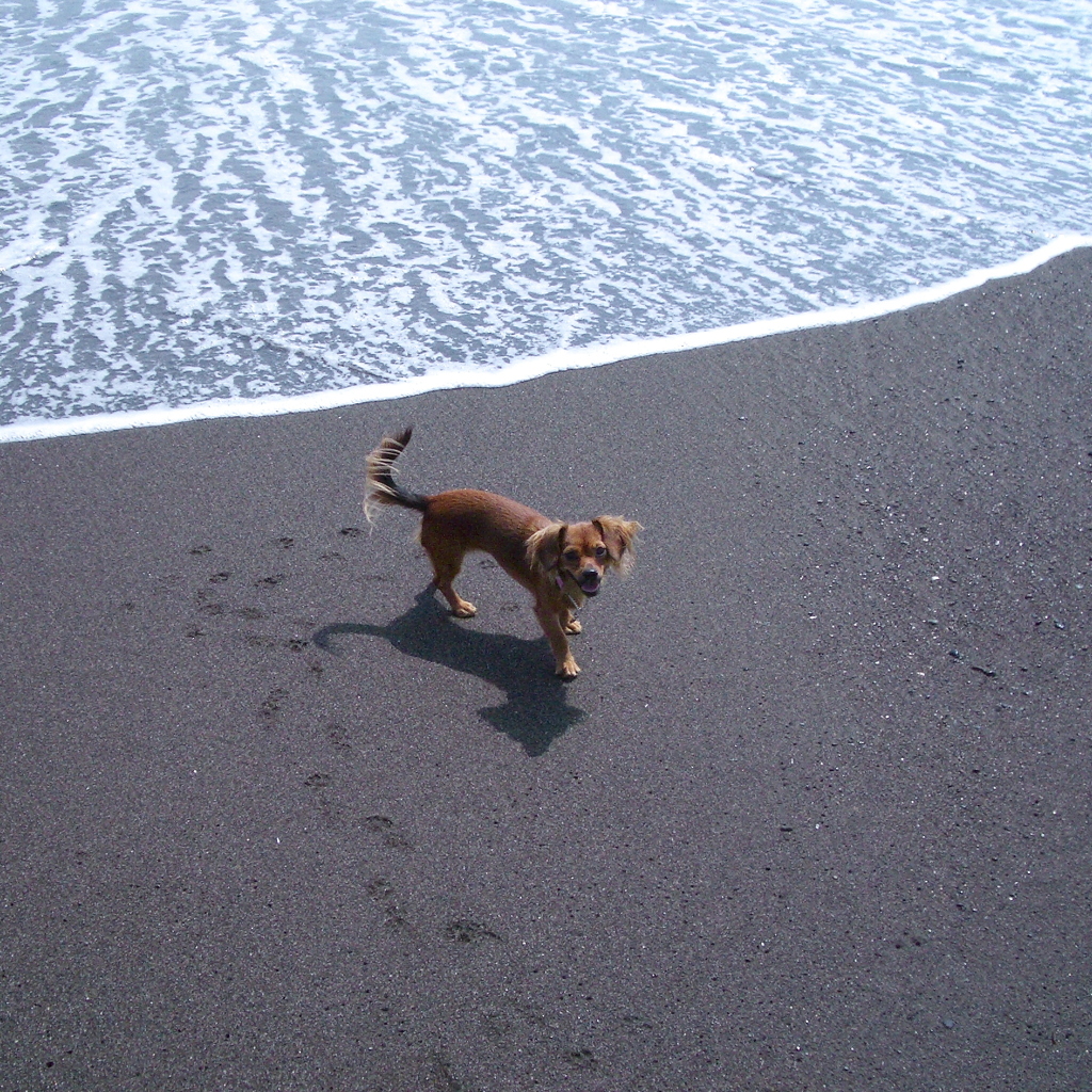 なみうちぎわ