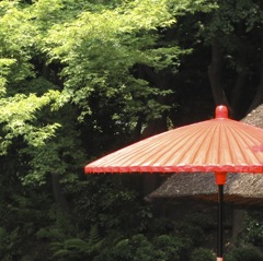 野点傘