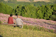 夫婦