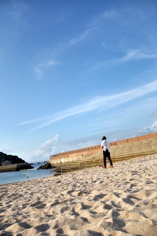 海