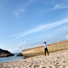海