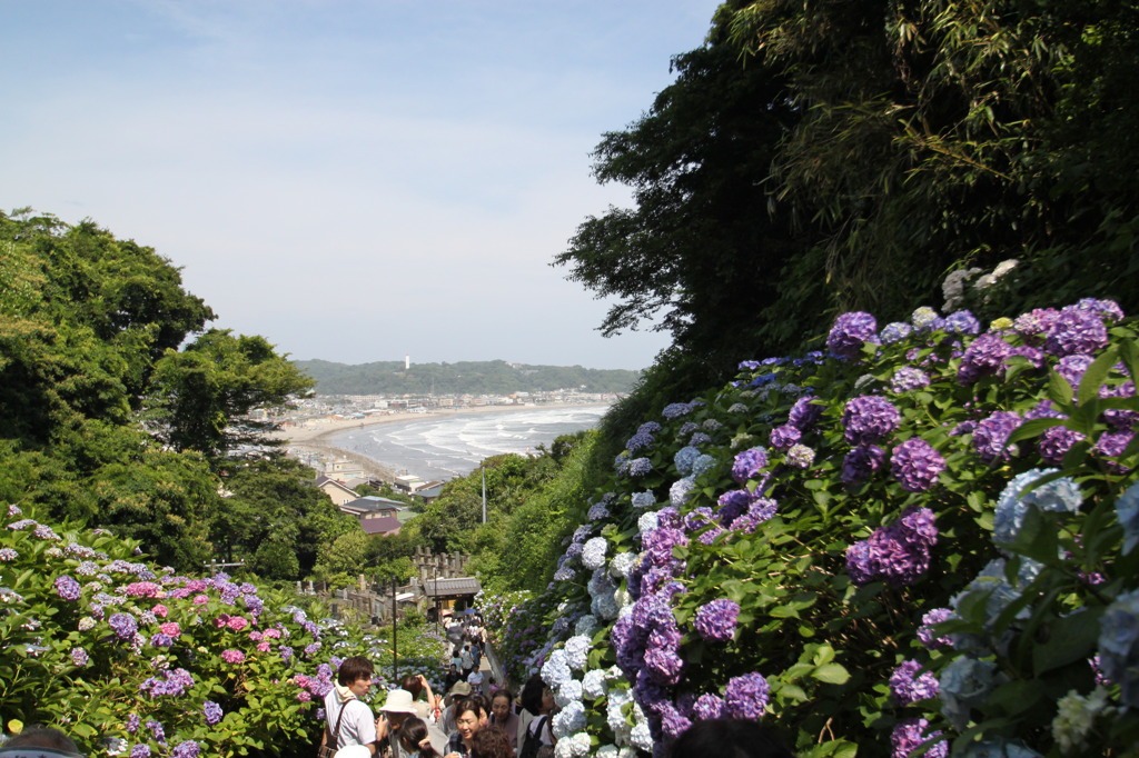 成就院