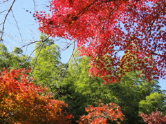 DSC00904