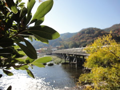DSC00857