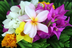 祈花
