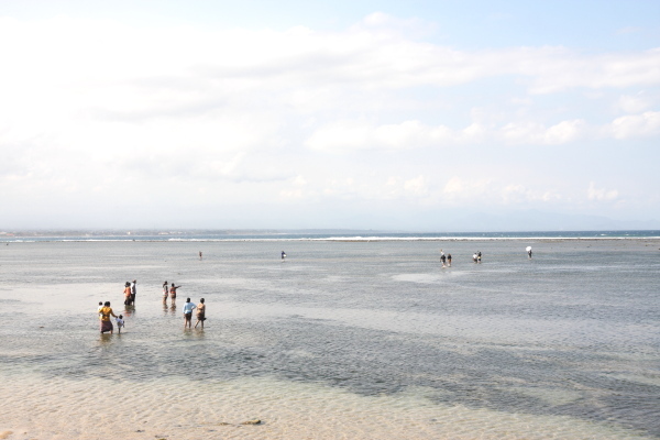 海へ