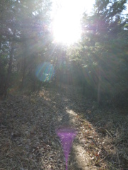 登山道入口