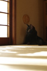 あぁ、今年も終わりか・・・