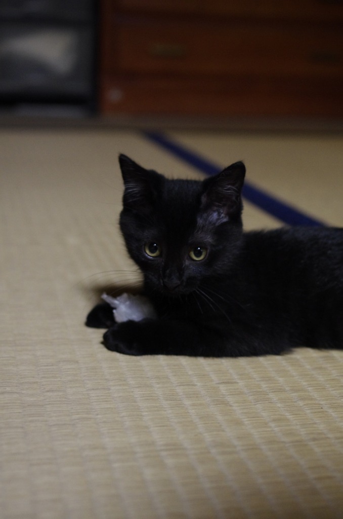 誰にも渡さないよ。