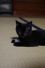 誰にも渡さないよ。