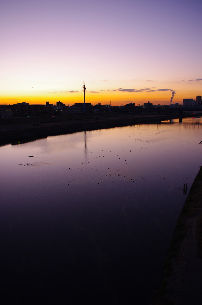 多摩川
