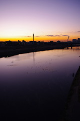 多摩川
