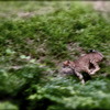 RUN! RUN! RUN!