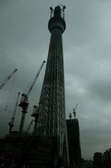 未完の大器