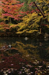 しっとり