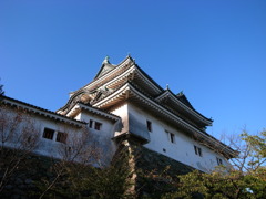 和歌山城