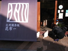 昆布を買いにきた猫