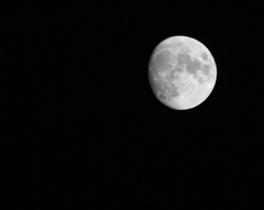 十一夜