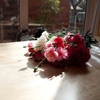 春先の・・・5