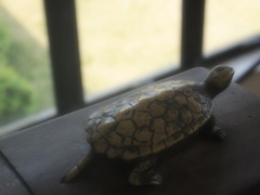 P5050407