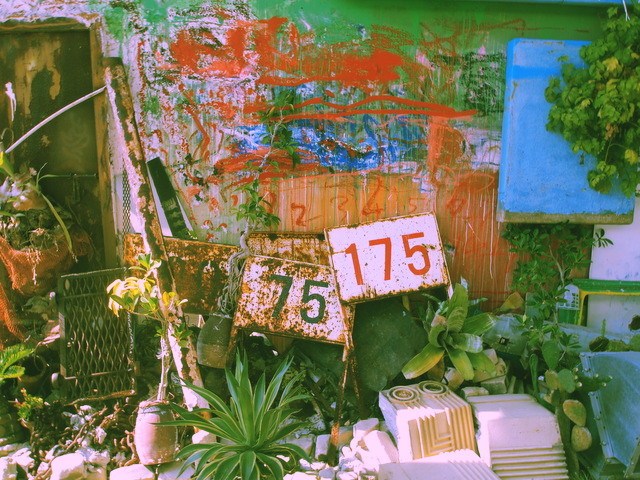 29