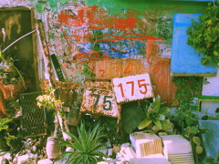 29