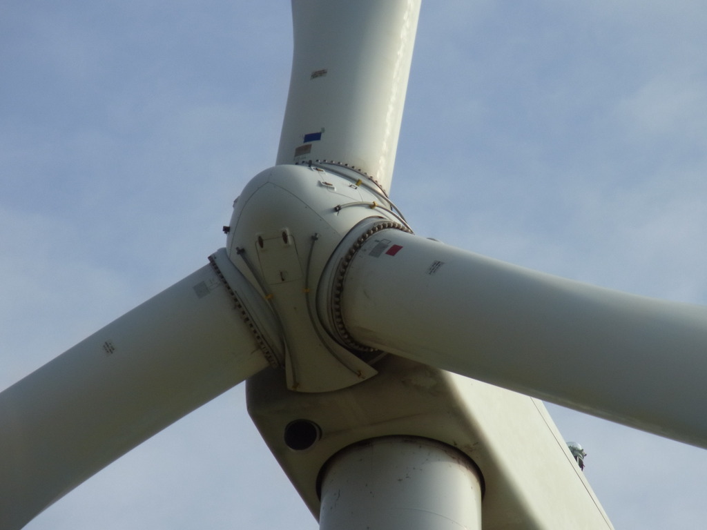 巨大ロボのようである　飛びそうだが飛びはしない２