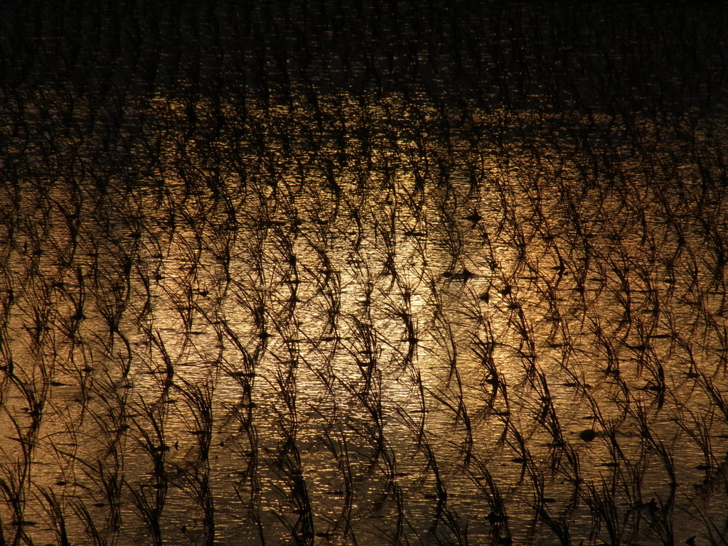 ５月のおわりのまた明日のじかん