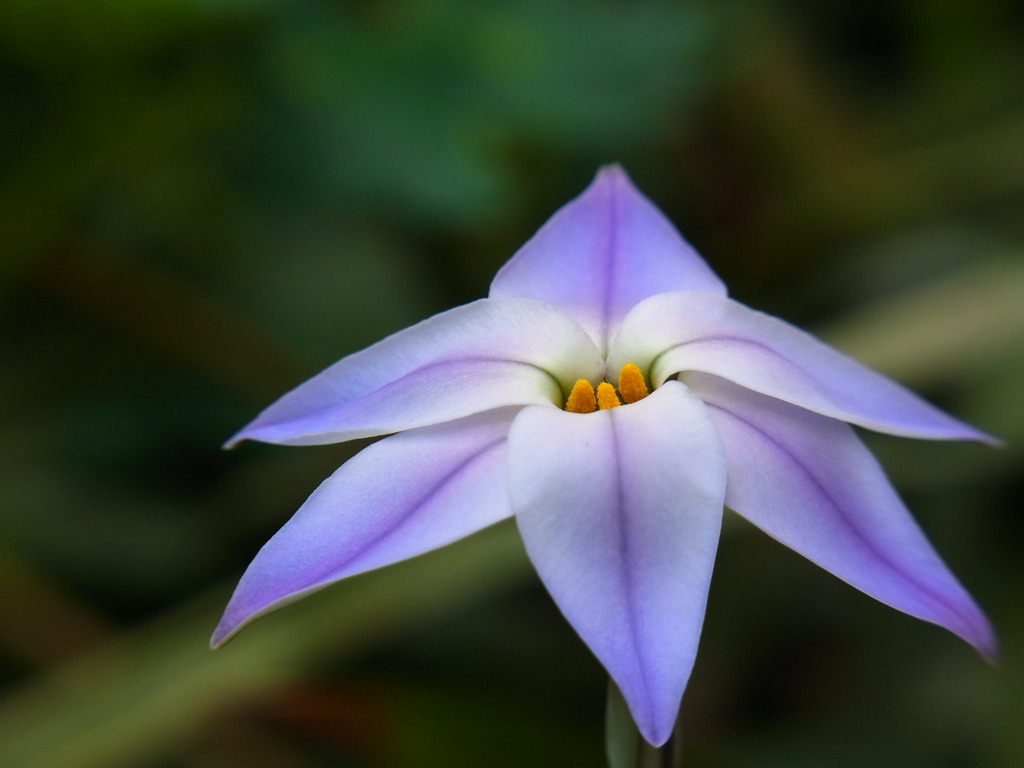 ひとけがないところ