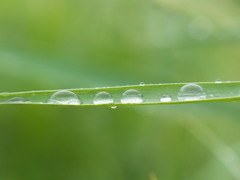 渡る