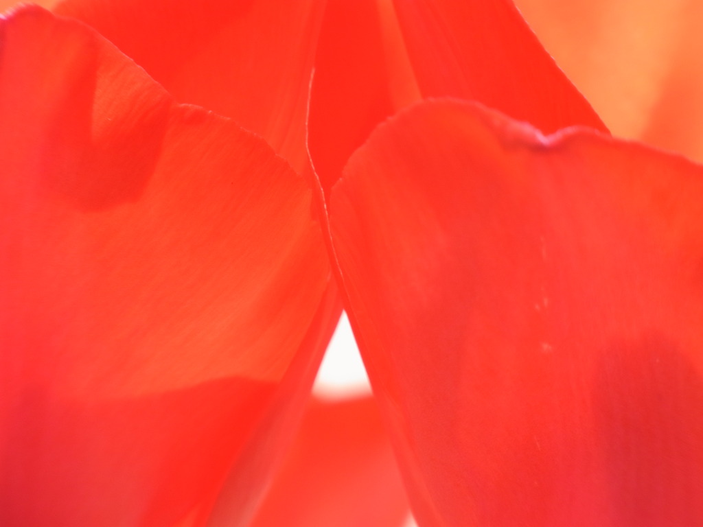 赤に囲まれるとどうか