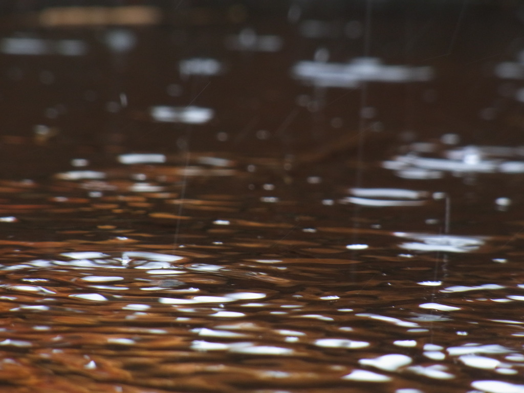 あめをとらえたい