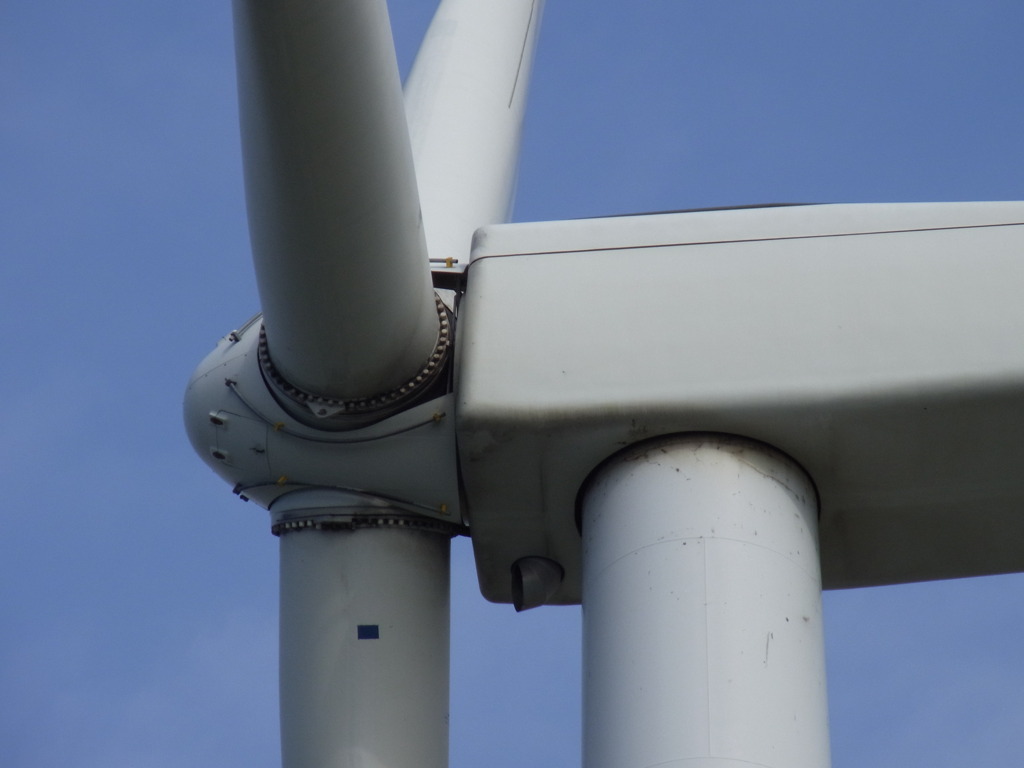 巨大ロボのようである　飛びそうだが飛びはしない１