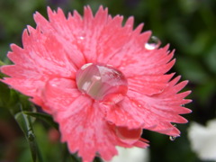 潤む