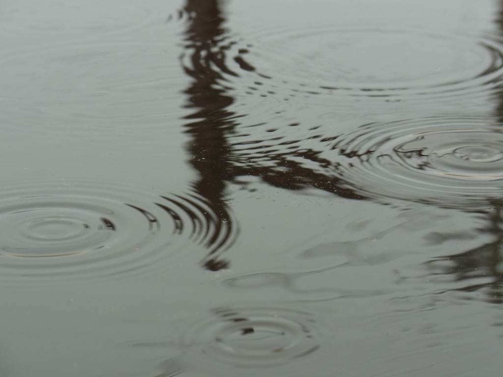 あめをとらえたい