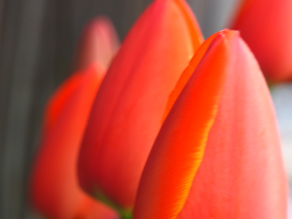 ピントは合わなくてもいいのではないか