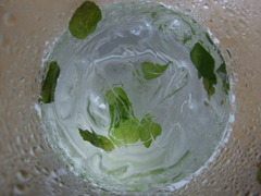涼