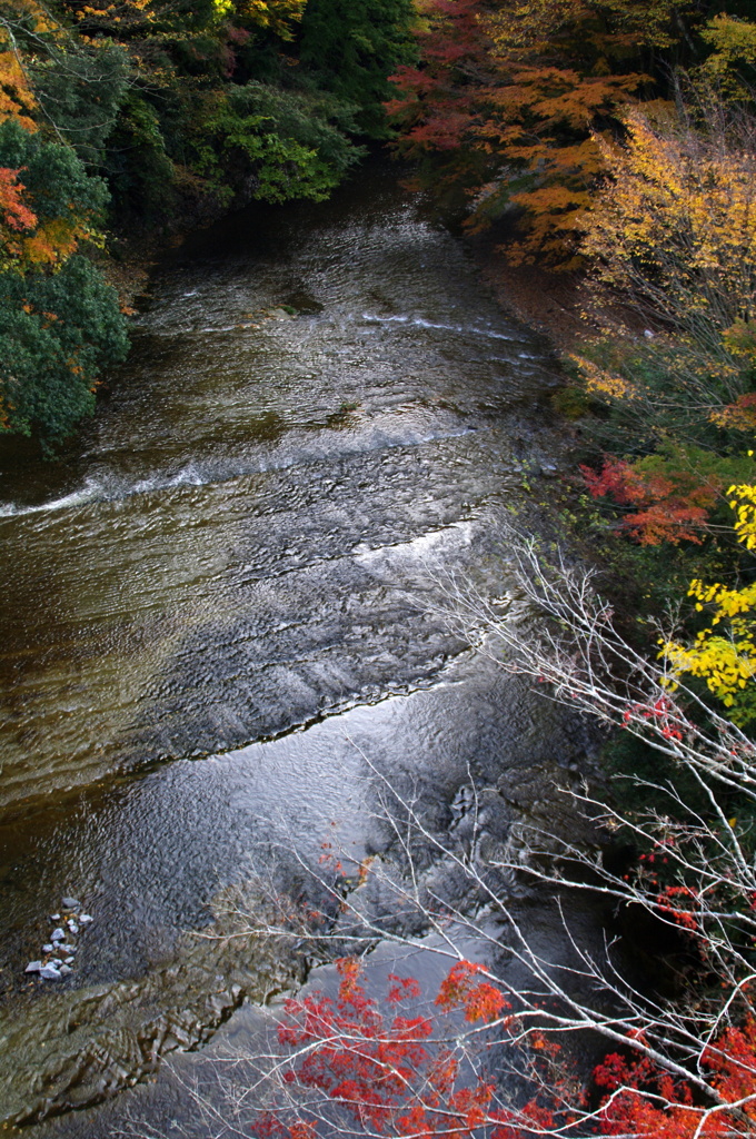 紅葉と川