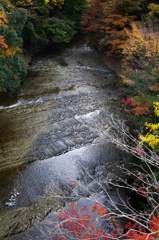 紅葉と川