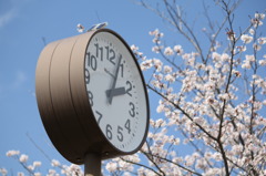 入学