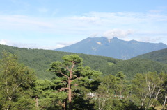 夏の景色