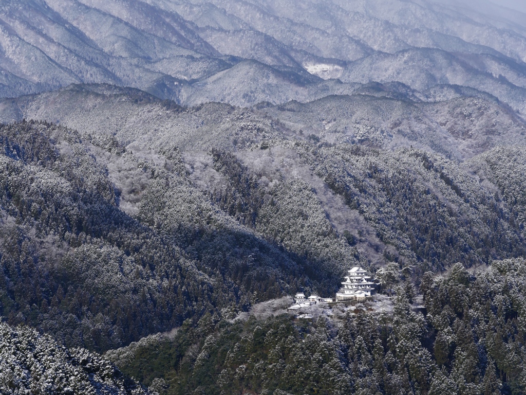 八幡城の薄化粧