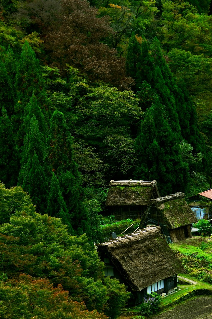 白川郷 